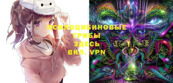 мдпв Иннополис
