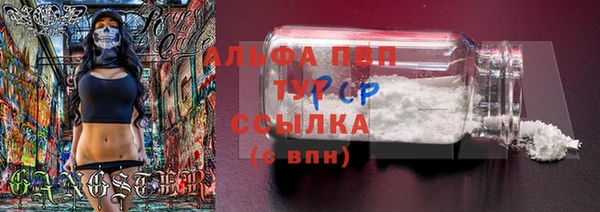 стафф Инсар