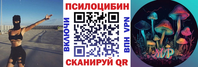 Псилоцибиновые грибы Psilocybine cubensis  Купить  Горячий Ключ 